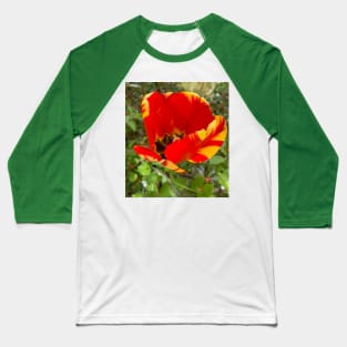 Beautiful Red and Yellow Tulip Baseball T-Shirt